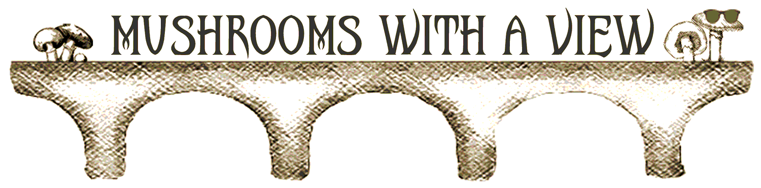 Mushrooms with a view logo